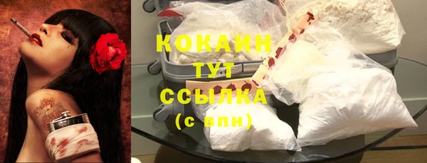 дживик Инта