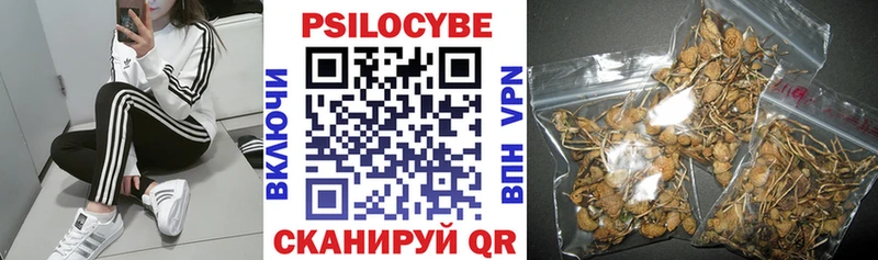 Галлюциногенные грибы Magic Shrooms наркотики Рославль
