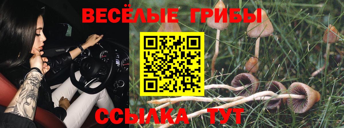 Рославль  Псилоцибиновые грибы Psilocybine cubensis  Галлюциногенные грибы MAGIC MUSHROOMS  Вход с VPN 