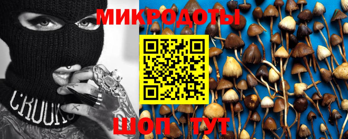 Галлюциногенные грибы мицелий Рославль
