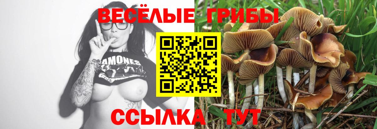 Псилоцибиновые грибы GOLDEN TEACHER  Рославль 